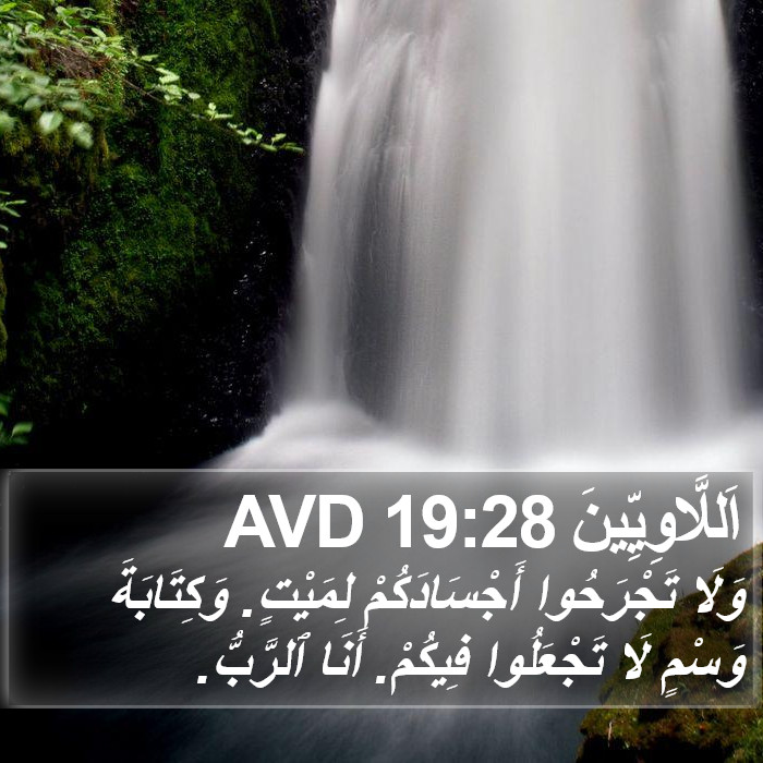 اَللَّاوِيِّينَ 19:28 AVD Bible Study