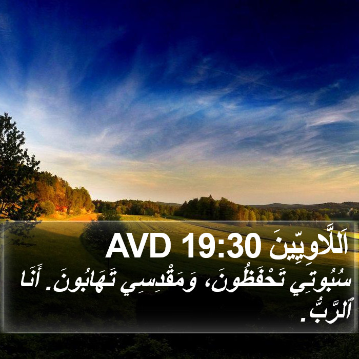 اَللَّاوِيِّينَ 19:30 AVD Bible Study