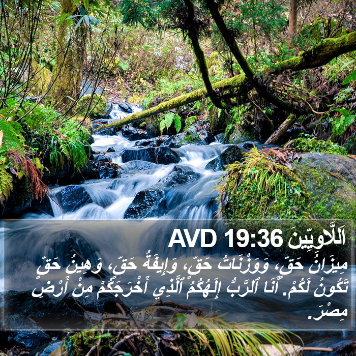 اَللَّاوِيِّينَ 19:36 AVD Bible Study