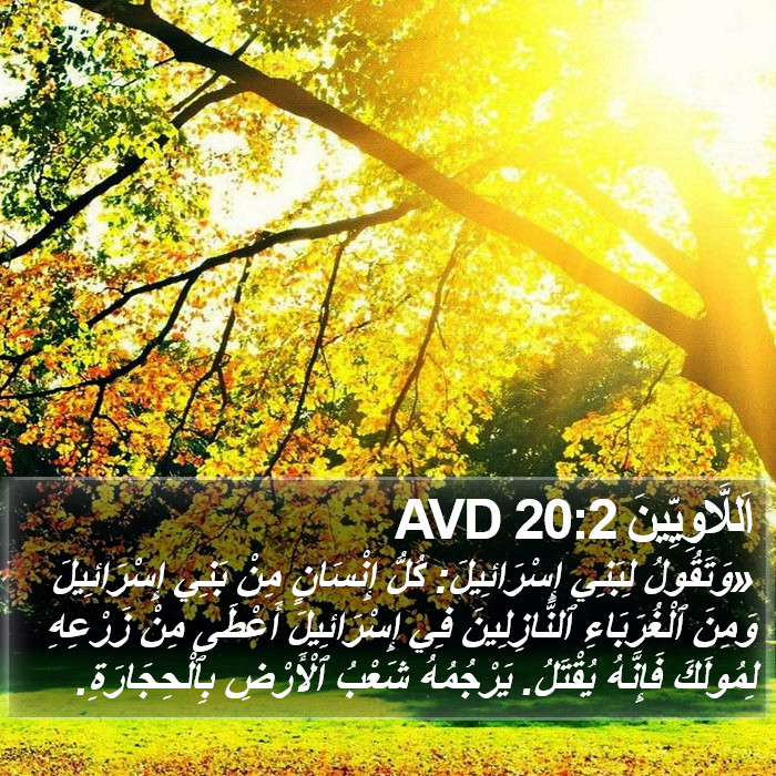 اَللَّاوِيِّينَ 20:2 AVD Bible Study