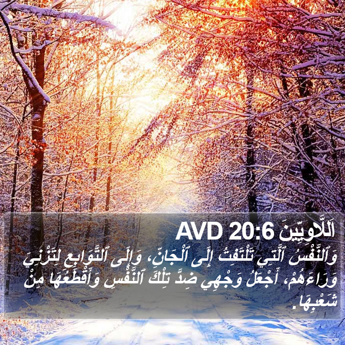 اَللَّاوِيِّينَ 20:6 AVD Bible Study