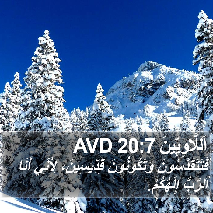 اَللَّاوِيِّينَ 20:7 AVD Bible Study