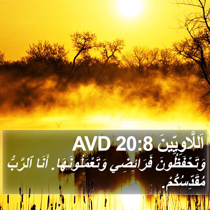 اَللَّاوِيِّينَ 20:8 AVD Bible Study