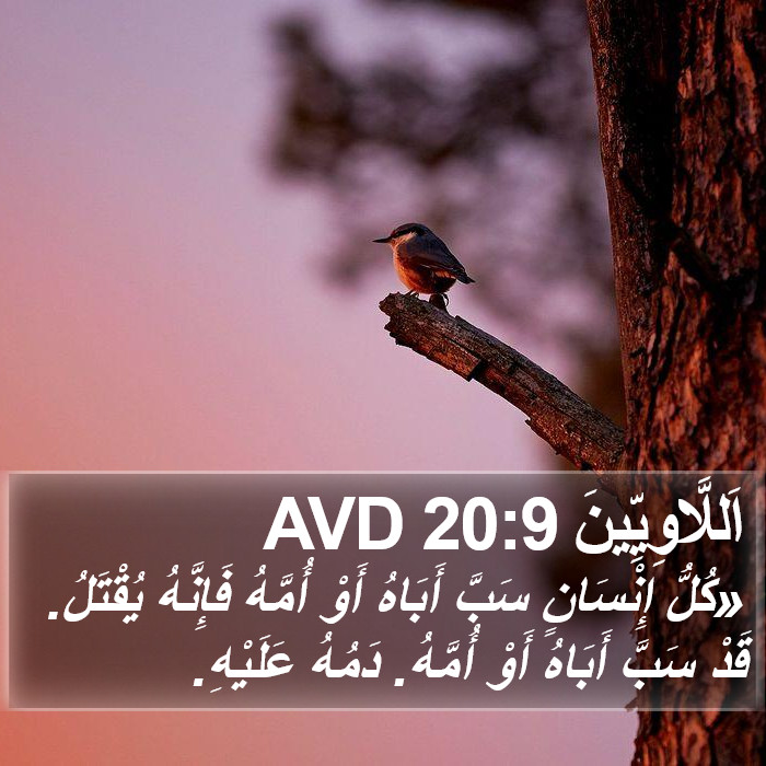اَللَّاوِيِّينَ 20:9 AVD Bible Study