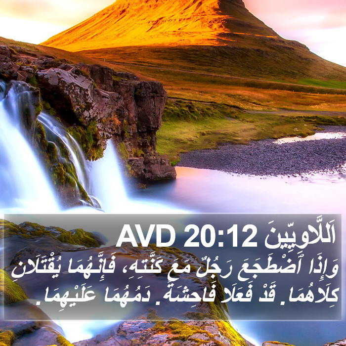 اَللَّاوِيِّينَ 20:12 AVD Bible Study
