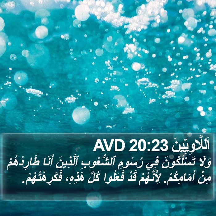 اَللَّاوِيِّينَ 20:23 AVD Bible Study