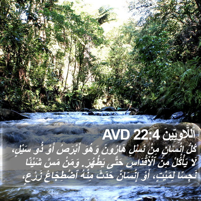 اَللَّاوِيِّينَ 22:4 AVD Bible Study