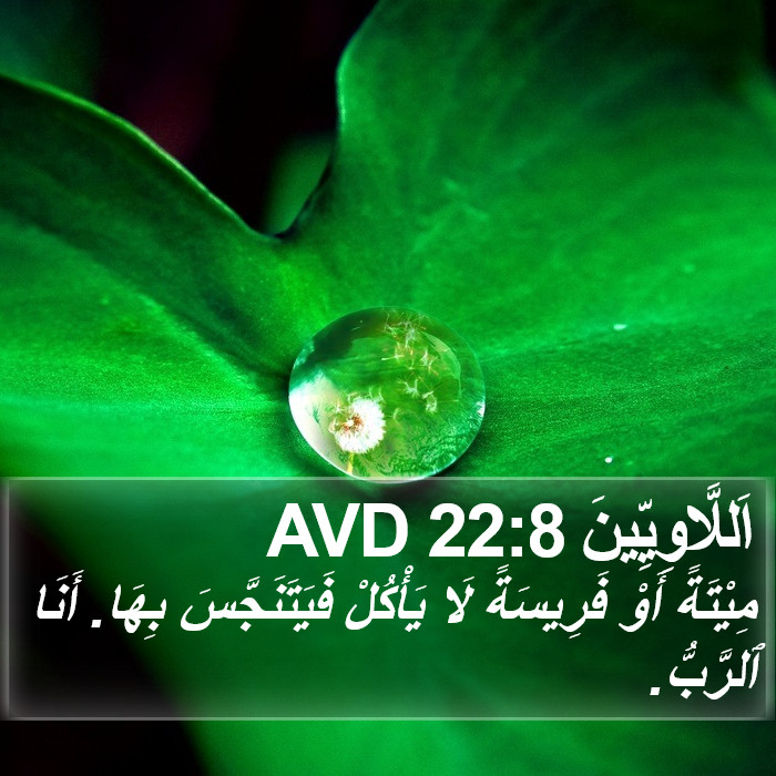 اَللَّاوِيِّينَ 22:8 AVD Bible Study