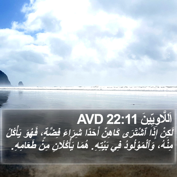 اَللَّاوِيِّينَ 22:11 AVD Bible Study
