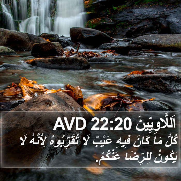 اَللَّاوِيِّينَ 22:20 AVD Bible Study