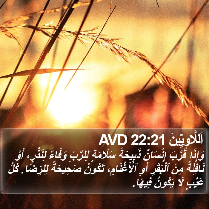 اَللَّاوِيِّينَ 22:21 AVD Bible Study