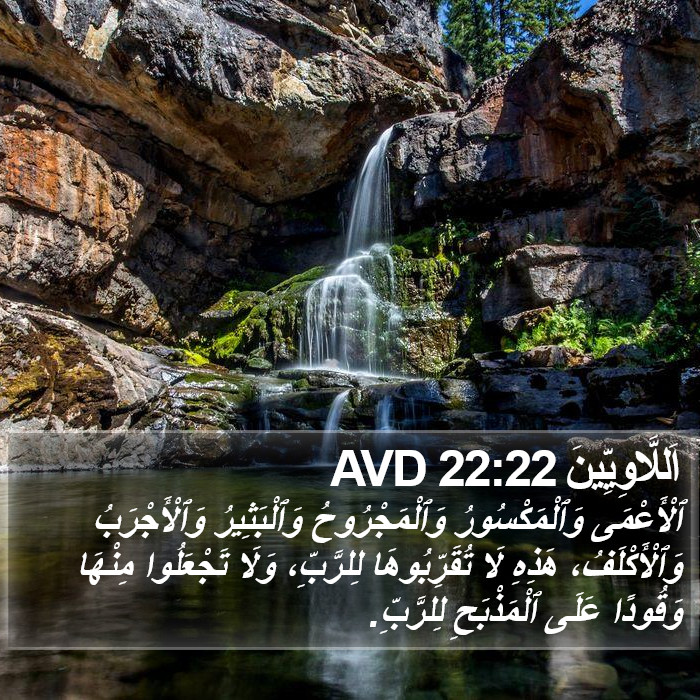اَللَّاوِيِّينَ 22:22 AVD Bible Study