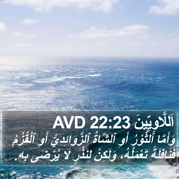 اَللَّاوِيِّينَ 22:23 AVD Bible Study