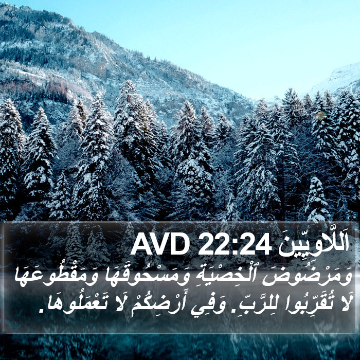 اَللَّاوِيِّينَ 22:24 AVD Bible Study