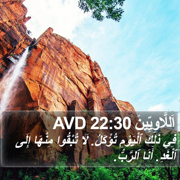 اَللَّاوِيِّينَ 22:30 AVD Bible Study