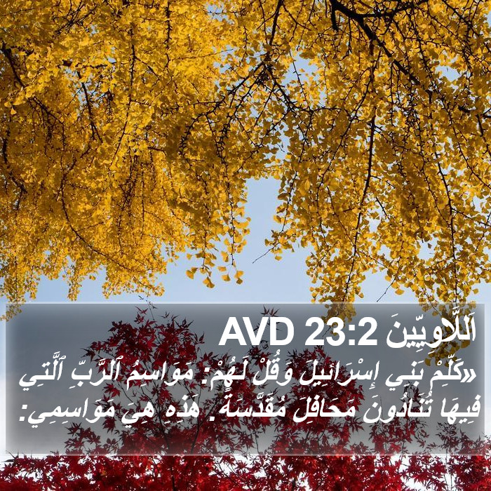 اَللَّاوِيِّينَ 23:2 AVD Bible Study