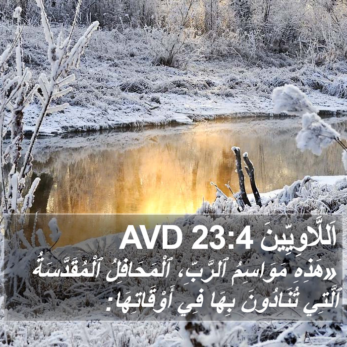 اَللَّاوِيِّينَ 23:4 AVD Bible Study