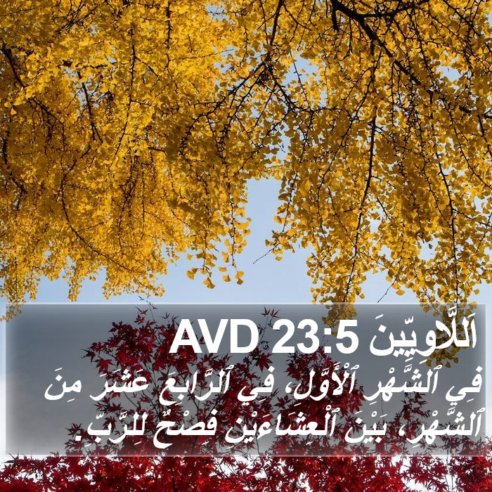 اَللَّاوِيِّينَ 23:5 AVD Bible Study