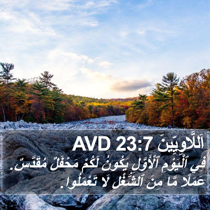 اَللَّاوِيِّينَ 23:7 AVD Bible Study