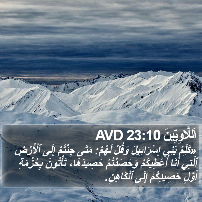 اَللَّاوِيِّينَ 23:10 AVD Bible Study