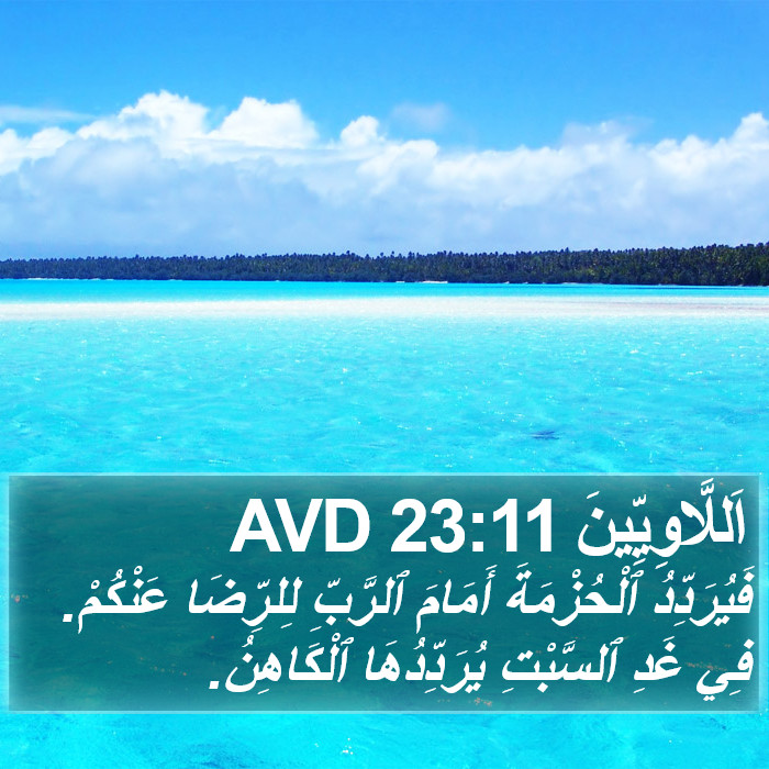 اَللَّاوِيِّينَ 23:11 AVD Bible Study