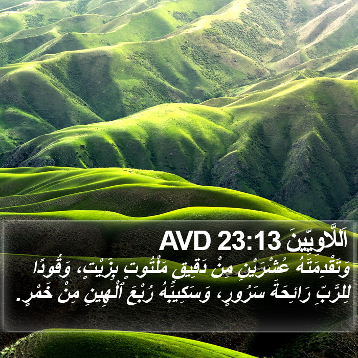 اَللَّاوِيِّينَ 23:13 AVD Bible Study