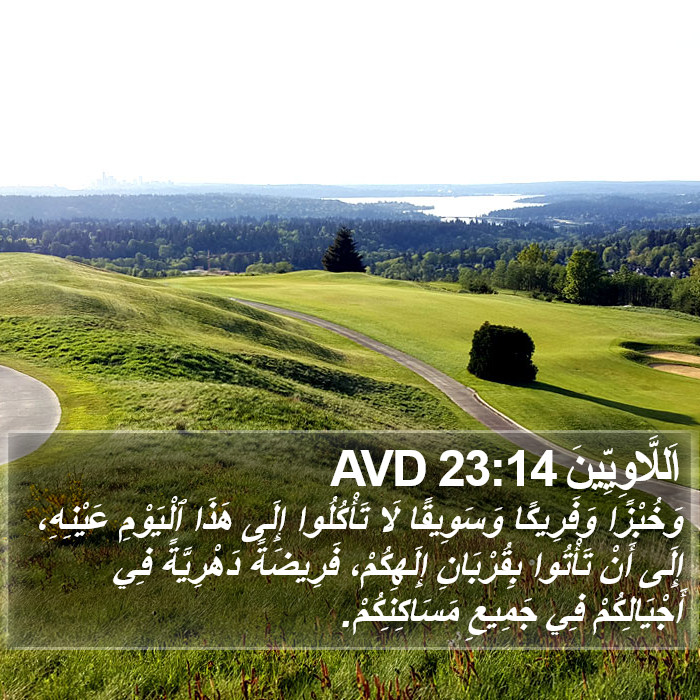 اَللَّاوِيِّينَ 23:14 AVD Bible Study