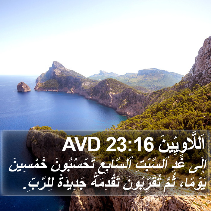 اَللَّاوِيِّينَ 23:16 AVD Bible Study