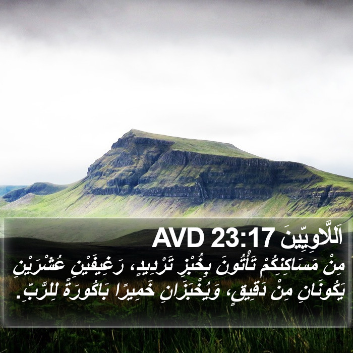 اَللَّاوِيِّينَ 23:17 AVD Bible Study