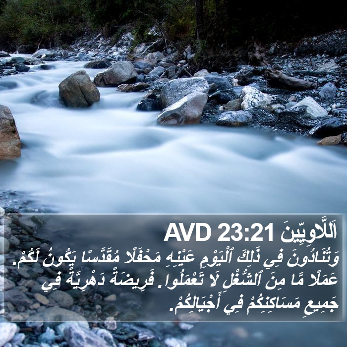 اَللَّاوِيِّينَ 23:21 AVD Bible Study