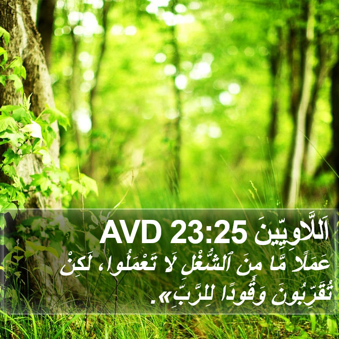 اَللَّاوِيِّينَ 23:25 AVD Bible Study