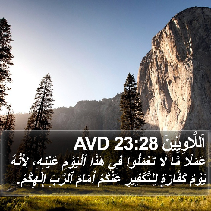 اَللَّاوِيِّينَ 23:28 AVD Bible Study