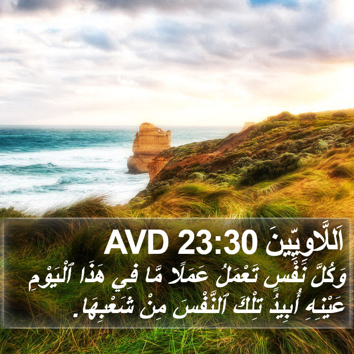 اَللَّاوِيِّينَ 23:30 AVD Bible Study