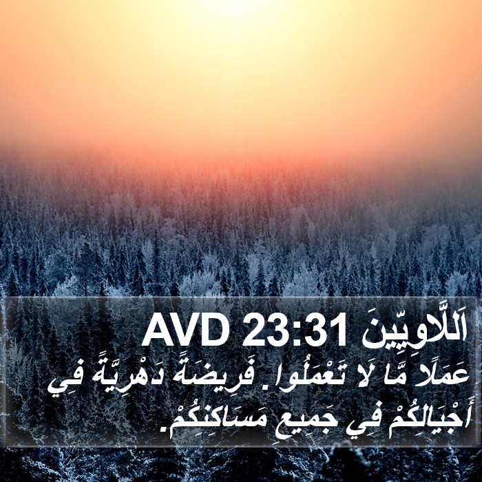 اَللَّاوِيِّينَ 23:31 AVD Bible Study