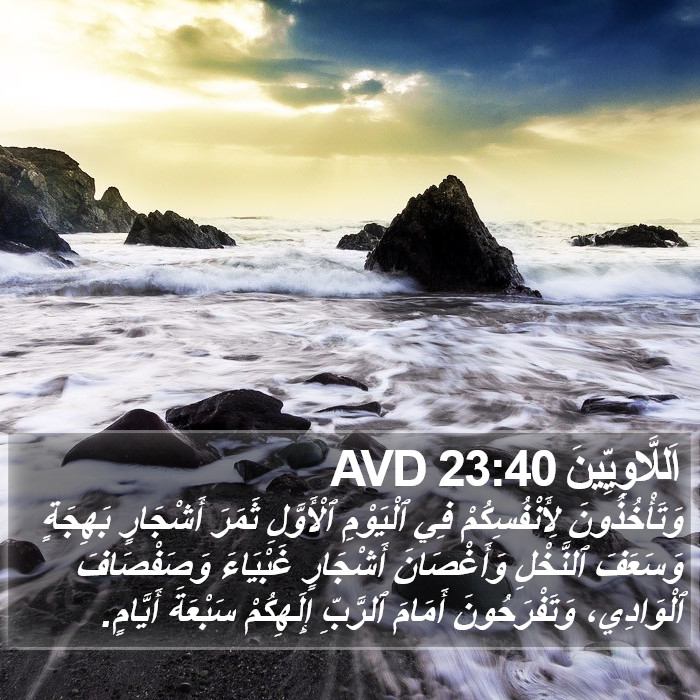 اَللَّاوِيِّينَ 23:40 AVD Bible Study