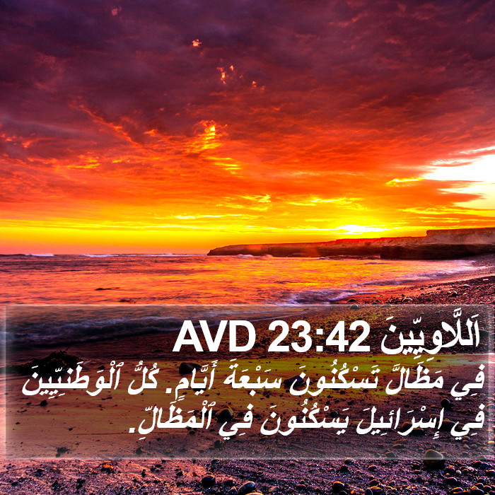 اَللَّاوِيِّينَ 23:42 AVD Bible Study