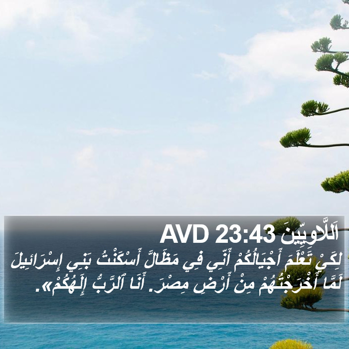 اَللَّاوِيِّينَ 23:43 AVD Bible Study