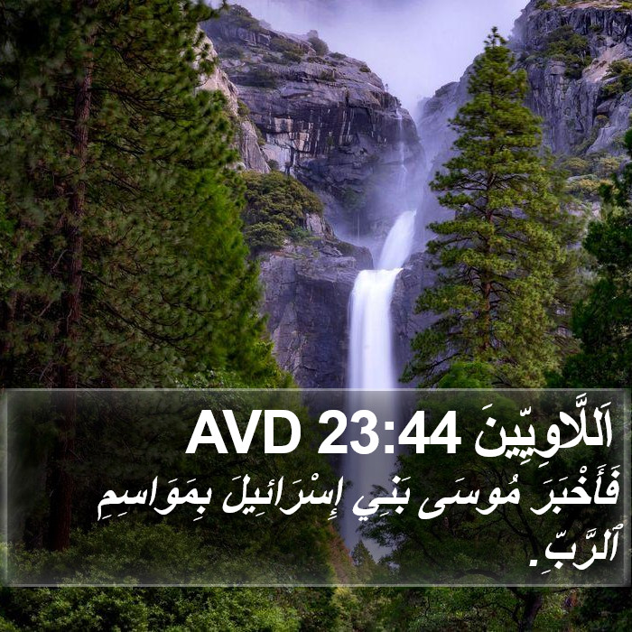 اَللَّاوِيِّينَ 23:44 AVD Bible Study