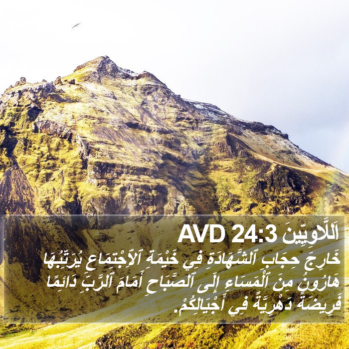 اَللَّاوِيِّينَ 24:3 AVD Bible Study
