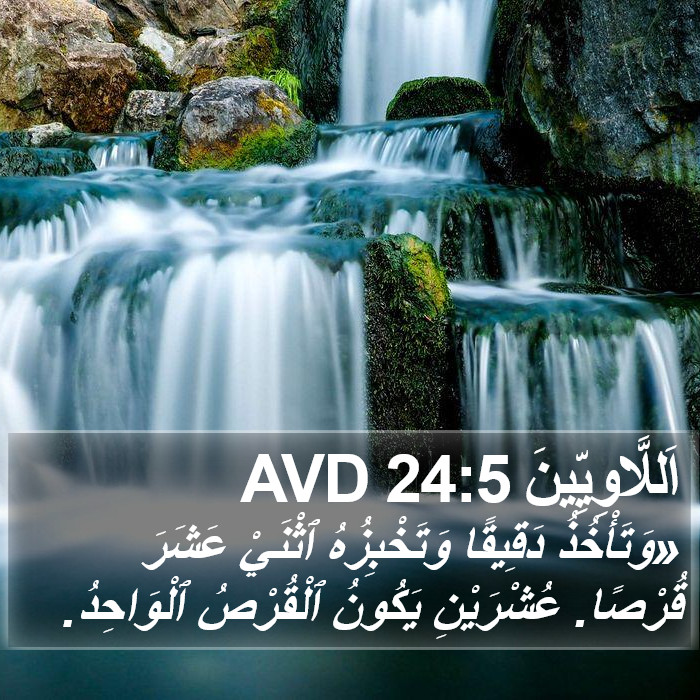 اَللَّاوِيِّينَ 24:5 AVD Bible Study
