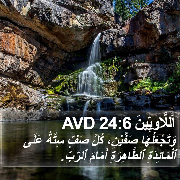 اَللَّاوِيِّينَ 24:6 AVD Bible Study