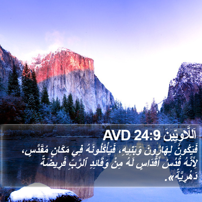 اَللَّاوِيِّينَ 24:9 AVD Bible Study
