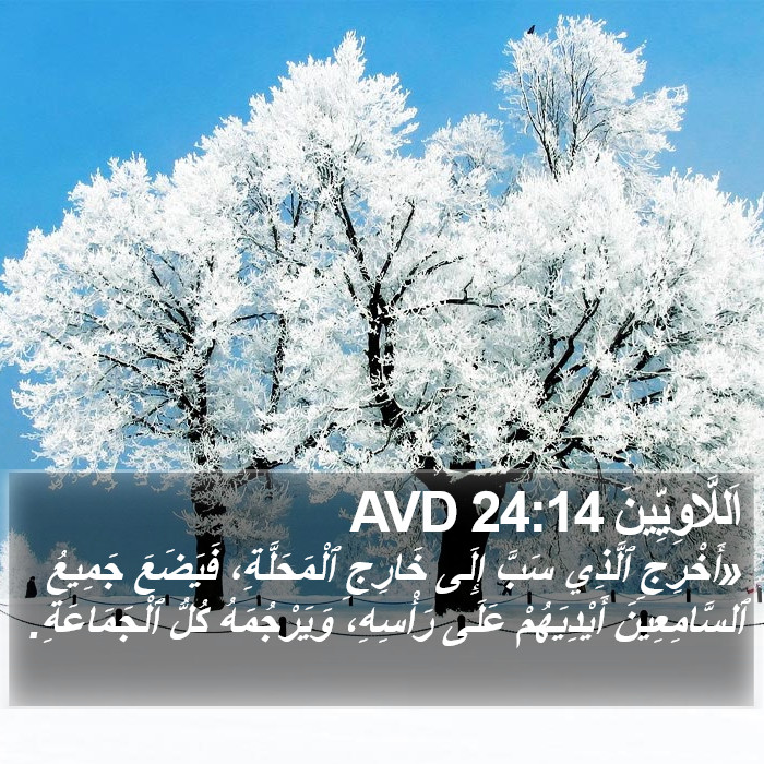 اَللَّاوِيِّينَ 24:14 AVD Bible Study