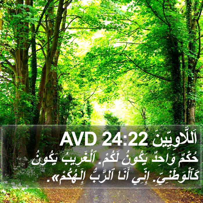 اَللَّاوِيِّينَ 24:22 AVD Bible Study