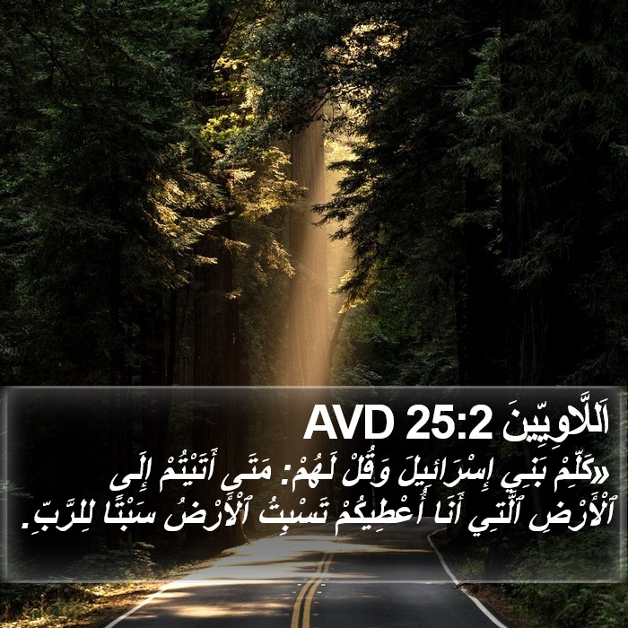 اَللَّاوِيِّينَ 25:2 AVD Bible Study