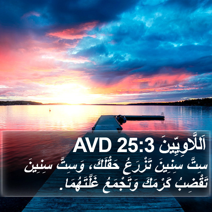 اَللَّاوِيِّينَ 25:3 AVD Bible Study