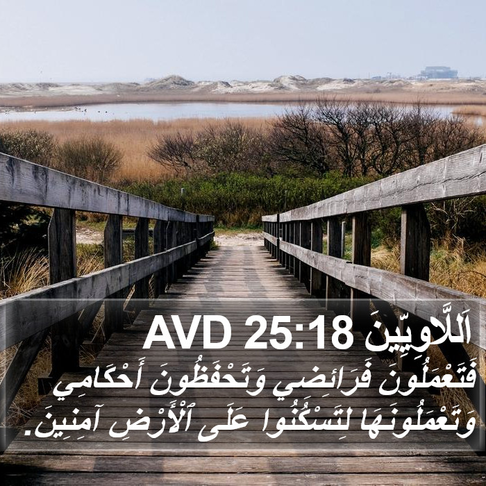 اَللَّاوِيِّينَ 25:18 AVD Bible Study