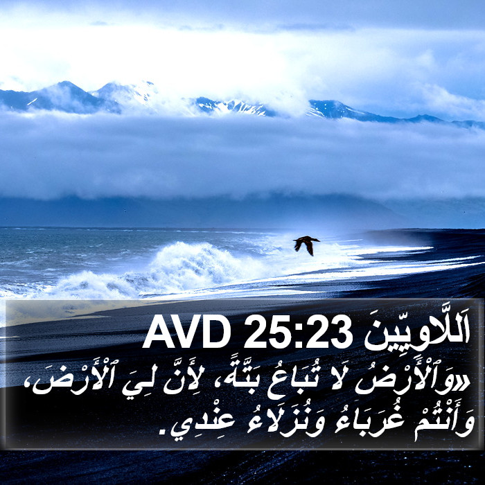 اَللَّاوِيِّينَ 25:23 AVD Bible Study
