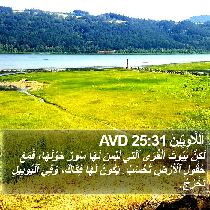 اَللَّاوِيِّينَ 25:31 AVD Bible Study