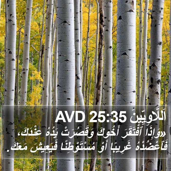 اَللَّاوِيِّينَ 25:35 AVD Bible Study
